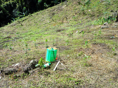 Ảnh: Diễn tiến gần 64 giờ phá thảm án ở Yên Bái