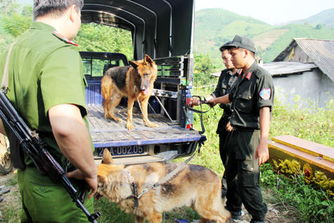 Tuyệt chiêu “lùa cáo rời hang” bắt hung thủ vụ thảm án Yên Bái