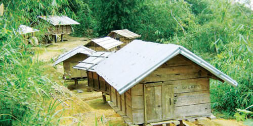 Xem người Xê Đăng giữ lúa