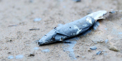 Chứng kiến cảnh vỡ đập bãi chứa thải chì kẽm ở Cao Bằng