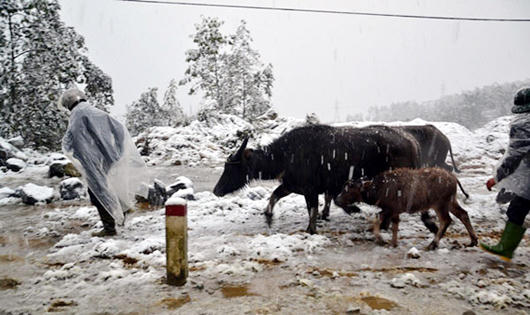 Sa Pa, Mẫu Sơn sắp có tuyết rơi