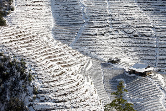 Sa Pa, Mẫu Sơn sắp có tuyết rơi