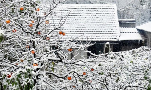 Sa Pa, Mẫu Sơn sắp có tuyết rơi