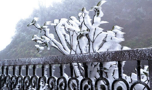 Sa Pa, Mẫu Sơn sắp có tuyết rơi