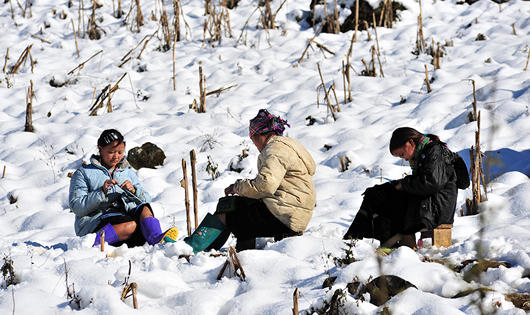 Sa Pa, Mẫu Sơn sắp có tuyết rơi