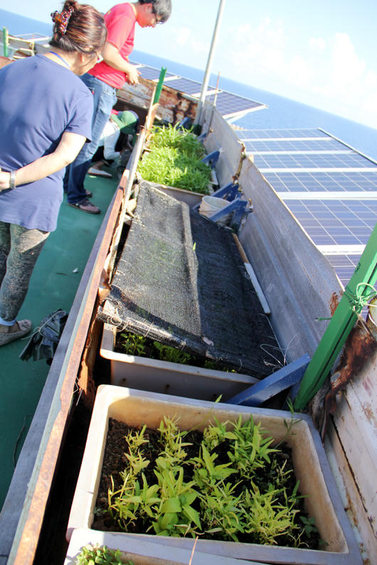 Ngắm cuộc sống của những người đi canh thềm lục địa