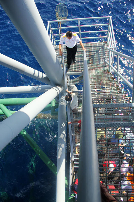 Ngắm cuộc sống của những người đi canh thềm lục địa