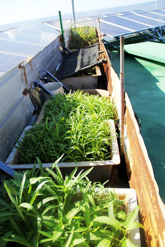 Ngắm cuộc sống của những người đi canh thềm lục địa