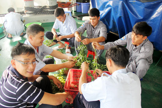 Những người “đưa đò” ở Trường Sa