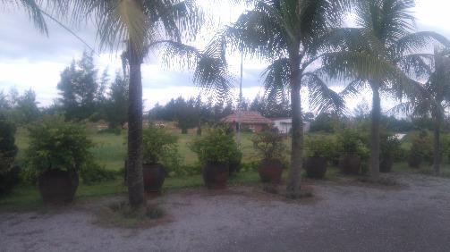 Đất vàng “trơ gan cùng tuế nguyệt” trên bán đảo Bảo Ninh