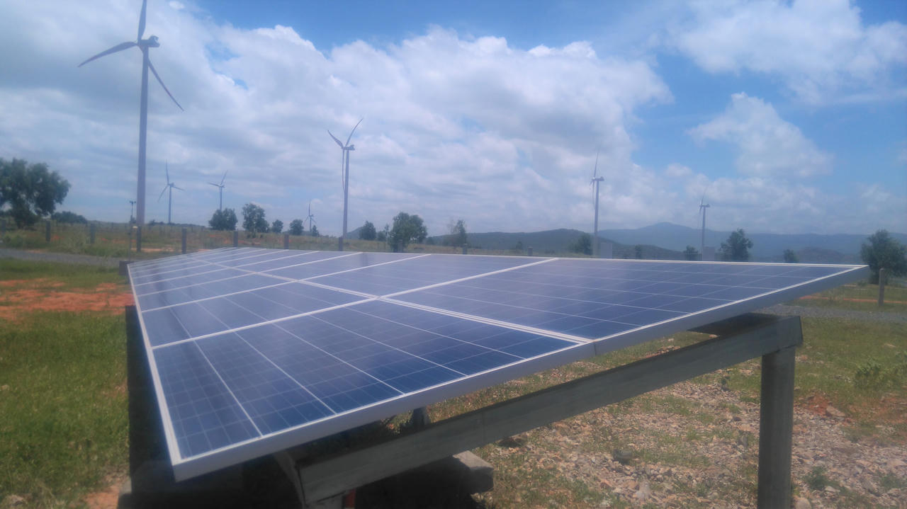 Tới “cánh đồng” triệu đô xem tua-bin biến gió thành… tiền