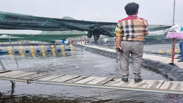 Công ty Phương Nam liên tục bị xử phạt, gây tai nạn lao động khi khai thác khoáng sản trái phép 