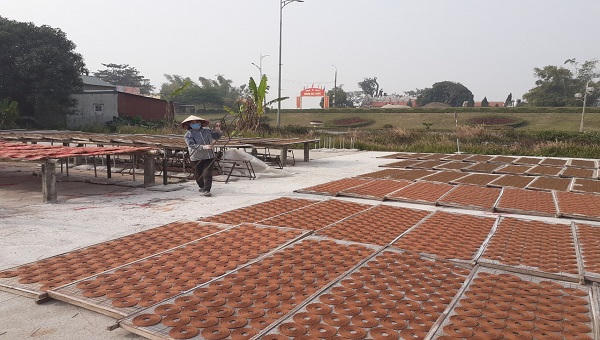 Làng hương xạ thôn Cao rộn ràng vụ Tết