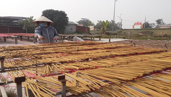 Làng hương xạ thôn Cao rộn ràng vụ Tết