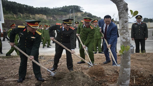 Cả nước tích cực 'ra quân' hưởng ứng Tết trồng cây