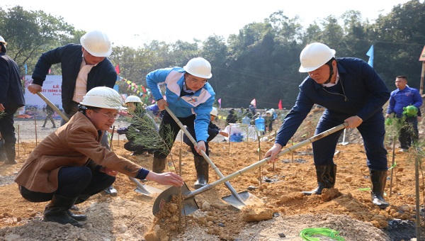 Cả nước tích cực 'ra quân' hưởng ứng Tết trồng cây