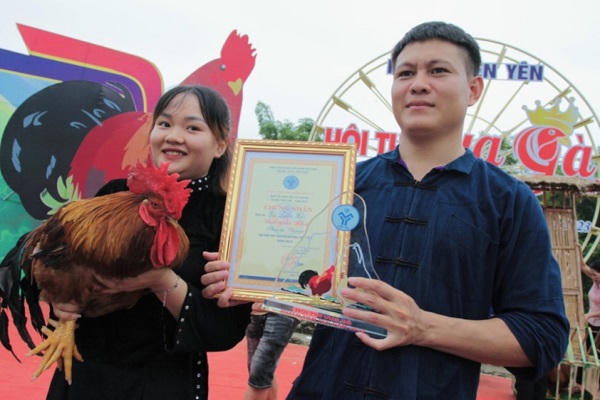 Vua gà ở Tiên Yên được đấu giá 80 triệu đồng