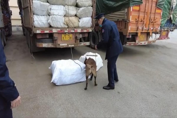 Hải quan Quảng Ninh vẫn duy trì được tốc độ bứt phá và có số thu ngân sách cao nhất