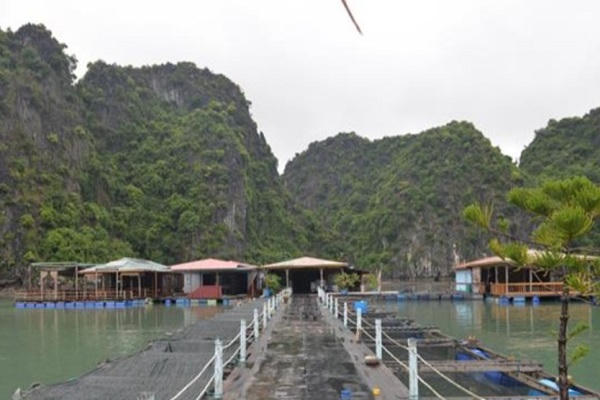 Làng chài - nét văn hóa độc đáo trên Vịnh Hạ Long
