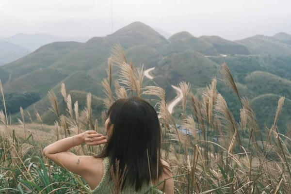 Bình Liêu mùa cỏ lau