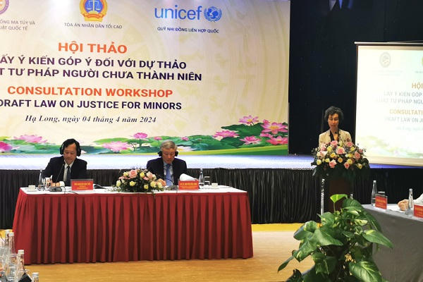 Chánh án Nguyễn Hòa Bình dự hội thảo góp ý đối với dự thảo Luật Tư pháp người chưa thành niên