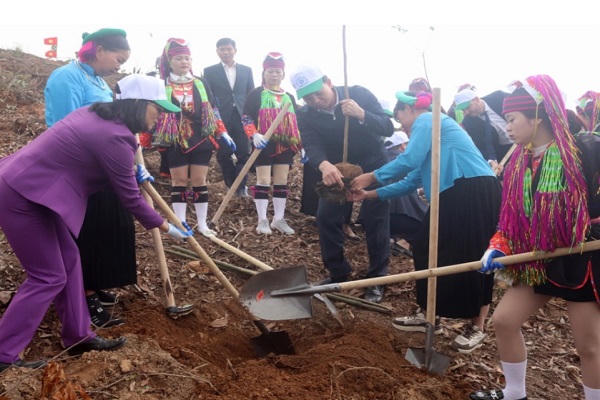Chủ tịch Quảng Ninh quyết tâm trồng trên 1440ha rừng trong năm 2024