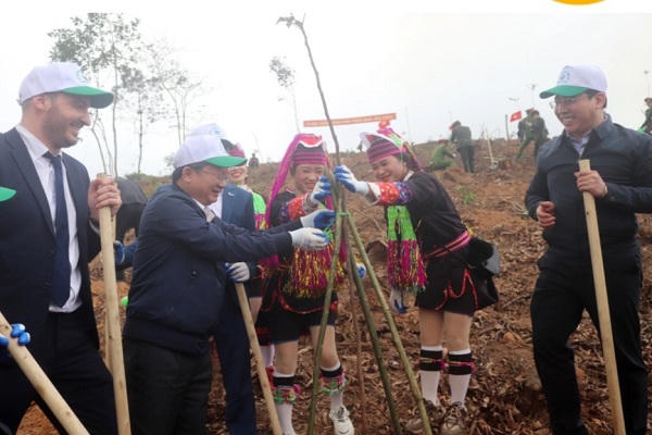 Chủ tịch Quảng Ninh quyết tâm trồng trên 1440ha rừng trong năm 2024