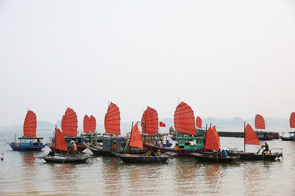 Gấp rút chuẩn bị cho Carnaval trên biển đầu tiên tại Việt Nam