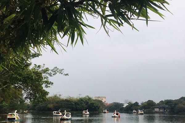 Đảo Cò Chi Lăng Nam, chốn bình yên để trở về…