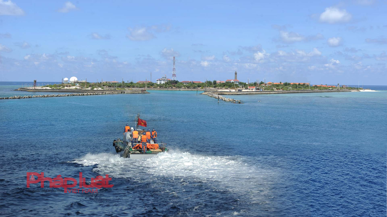 Những “khu rừng xanh” kỳ vỹ giữa đại dương