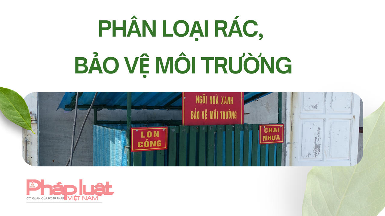 Những “khu rừng xanh” kỳ vỹ giữa đại dương