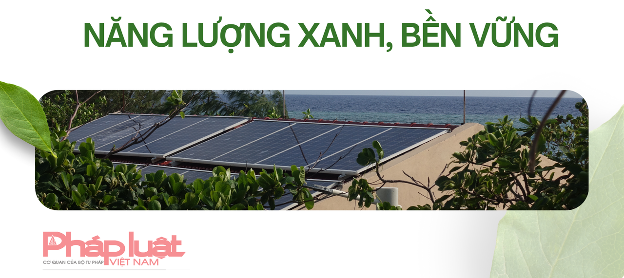 Những “khu rừng xanh” kỳ vỹ giữa đại dương