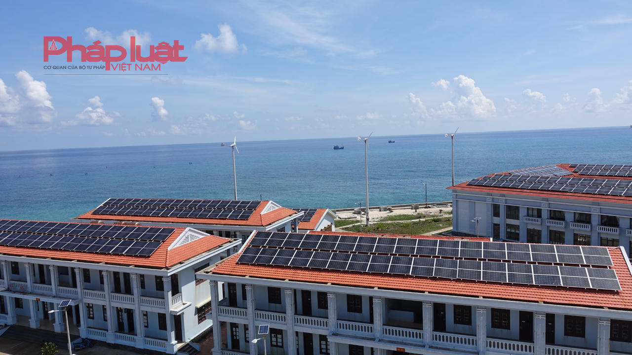 Những “khu rừng xanh” kỳ vỹ giữa đại dương