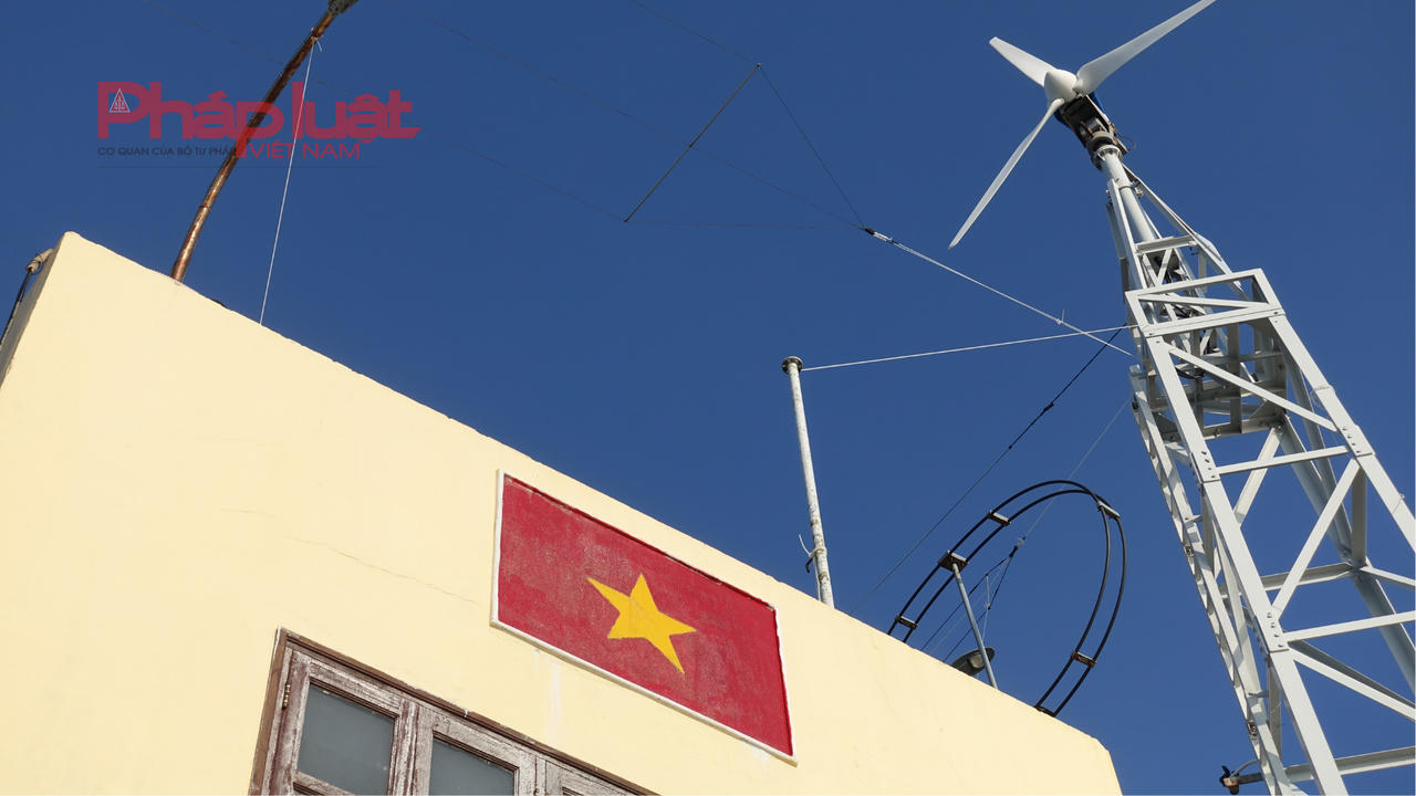 Những “khu rừng xanh” kỳ vỹ giữa đại dương