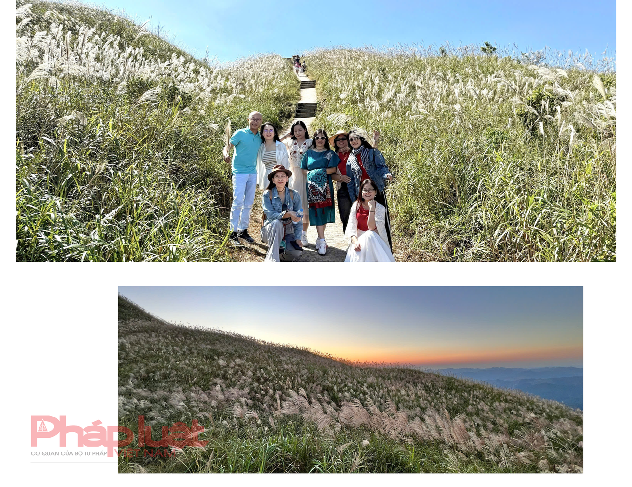 Săn cỏ lau đẹp ngút ngàn nơi biên giới Việt - Trung
