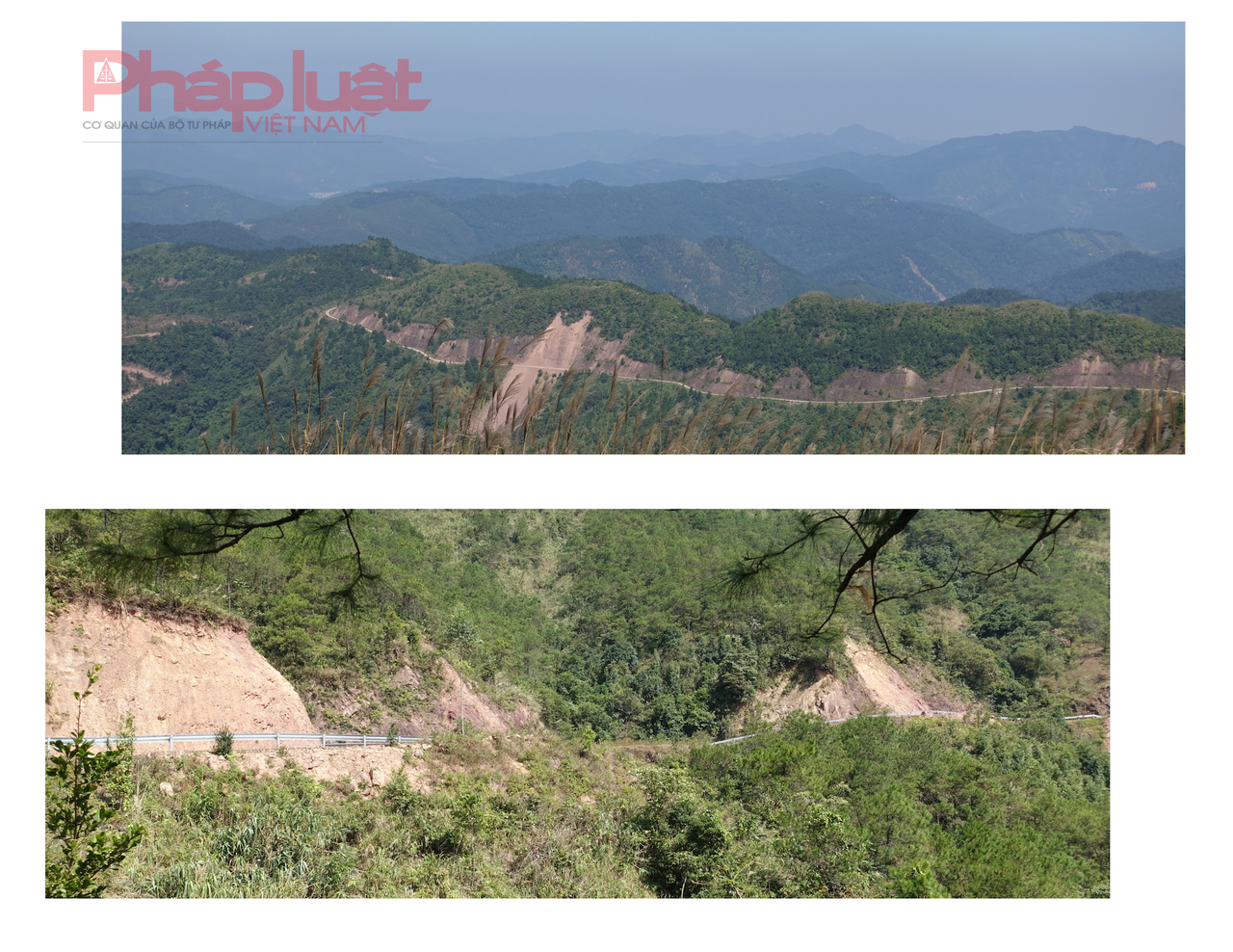 Săn cỏ lau đẹp ngút ngàn nơi biên giới Việt - Trung