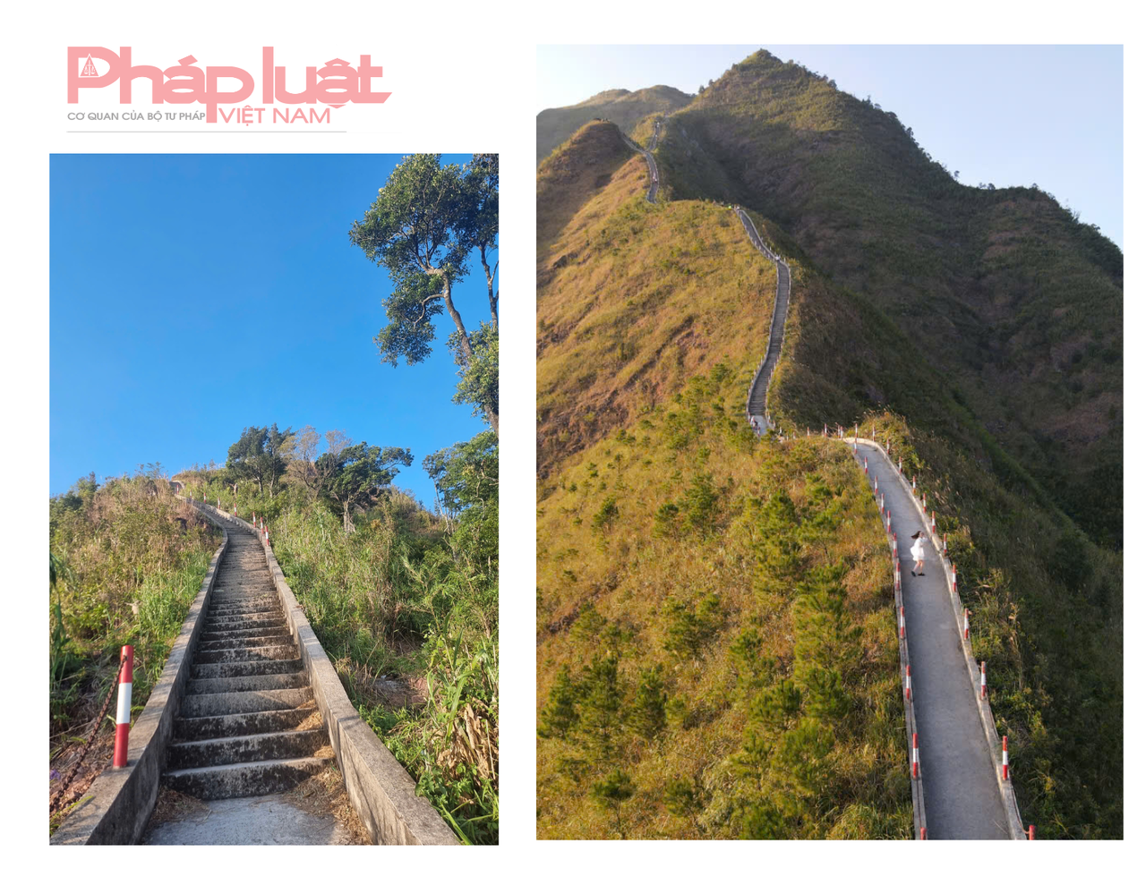 Săn cỏ lau đẹp ngút ngàn nơi biên giới Việt - Trung