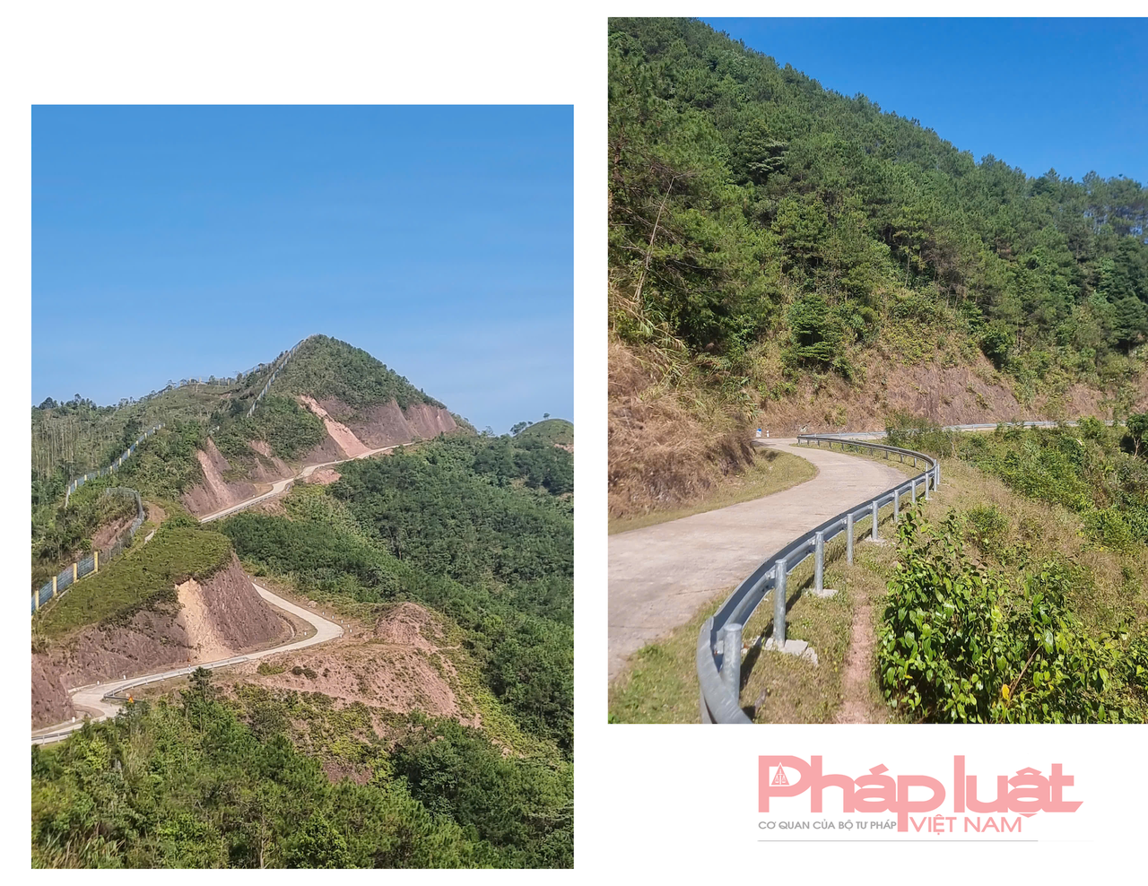 Săn cỏ lau đẹp ngút ngàn nơi biên giới Việt - Trung