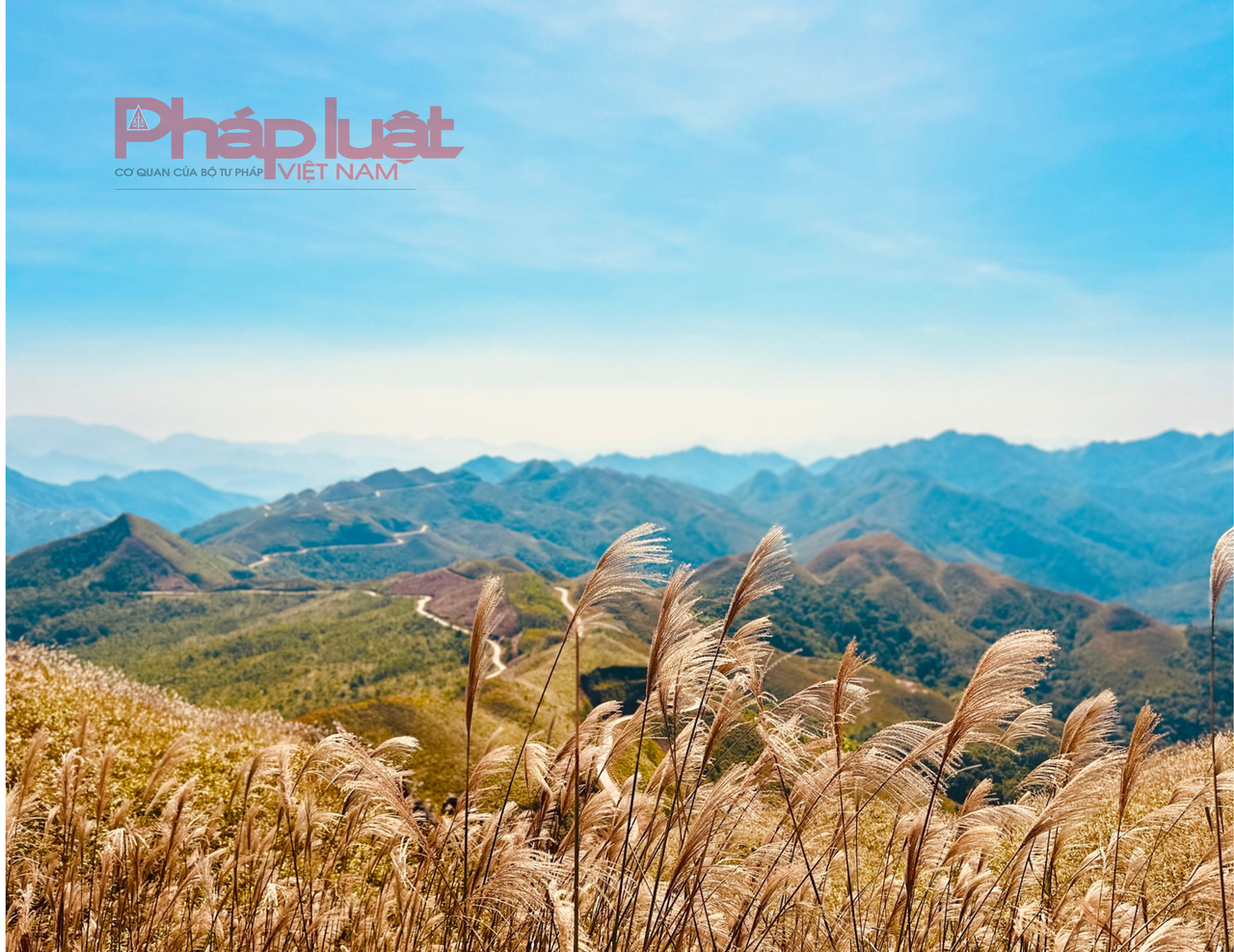 Săn cỏ lau đẹp ngút ngàn nơi biên giới Việt - Trung