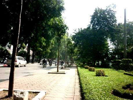 Ngắm "lá phổi xanh" ngày càng co ngót lại giữa Thủ đô