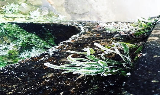 Ngắm miền Bắc ngập chìm trong mưa, tuyết