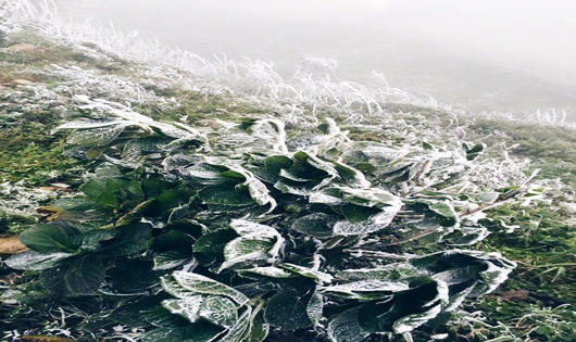 Ngắm miền Bắc ngập chìm trong mưa, tuyết