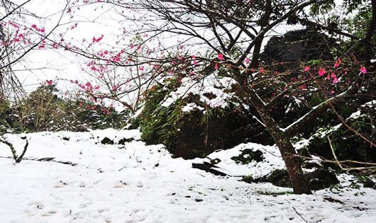 Ngắm miền Bắc ngập chìm trong mưa, tuyết