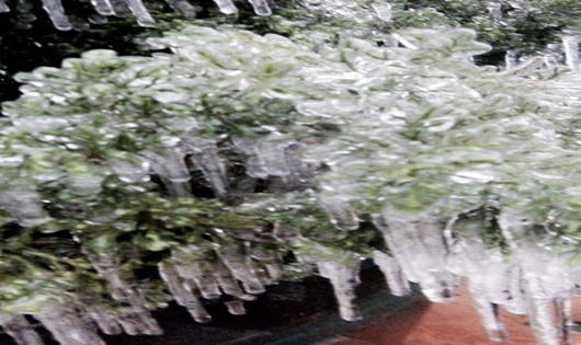 Ngắm miền Bắc ngập chìm trong mưa, tuyết