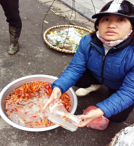 Người Hà Nội hối hả tiễn ông Công ông Táo về trời