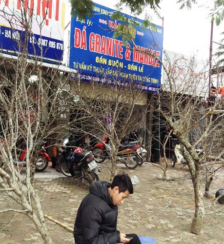 Đào rừng tưng bừng xuống phố, thương lái “hét giá” trên trời