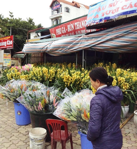 Bưởi, đào, mai, lan... đắt đỏ, quất chưa chứng tỏ được mình