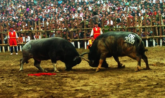 Tháng Giêng du xuân những lễ hội nào?