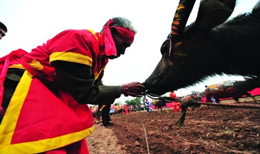 Tháng Giêng du xuân những lễ hội nào?