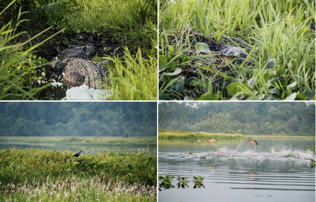 Gợi ý 3 khu rừng nhiệt đới gần TP. Hồ Chí Minh cho kỳ nghỉ lễ 30/4 và 1/5